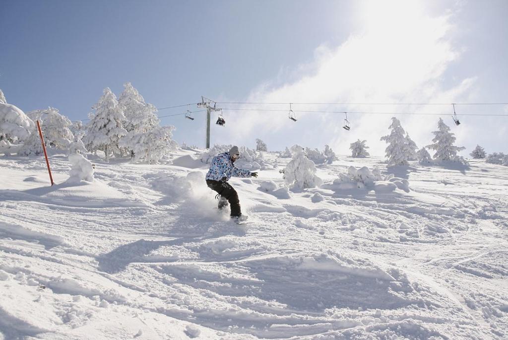 קמרנה דה לה סיירה Javalambre Mountain Superski מראה חיצוני תמונה